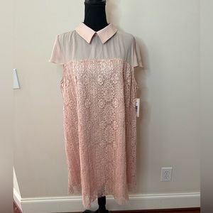 NWT Nanette Lepore Blush Lace Collared Cap Sleeve Dress